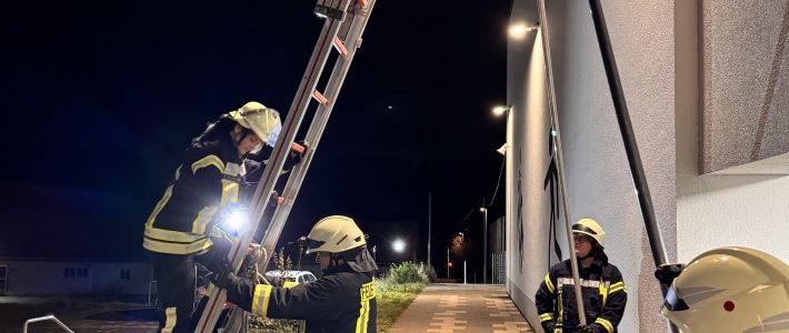 Hoch hinaus mit der FWDV 10 „Tragbare Leitern“