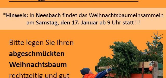 Weihnachtsbaumeinsammeln 2026